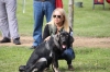 Filename=Diana_del_Tossal_Gros_cachorro_hembra.jpg
Filesize=71KiB
Dimensions=825x550
Date added=%827 %18, %2018 Diana_del_Tossal_Gros_cachorro_hembra.jpg