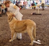 Filename=EDSMotleyHouseQueenPapillon.jpg
Filesize=50KiB
Dimensions=450x425
Date added=%621 %21, %2006 EDSMotleyHouseQueenPapillon.jpg