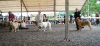 Filename=EDS_open-cl_females-.jpg
Filesize=87KiB
Dimensions=909x425
Date added=%746 %24, %2006 EDS_open-cl_females-.jpg