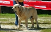 Filename=EXC-Winoco-F-Xunquera.jpg
Filesize=148KiB
Dimensions=1329x850
Date added=%792 %20, %2013 EXC-Winoco-F-Xunquera.jpg