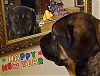 Filename=Ela_Langer_newyear.jpg
Filesize=138KiB
Dimensions=1440x1097
Date added=%028 %31, %2020 Ela_Langer_newyear.jpg