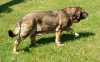Filename=Elba%2C9years_old.jpg
Filesize=103KiB
Dimensions=680x425
Date added=%819 %01, %2006 Elba%2C9years_old.jpg