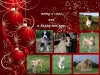 Filename=Elynn_Smolders_xmas14.jpg
Filesize=135KiB
Dimensions=960x720
Date added=%955 %24, %2014 Elynn_Smolders_xmas14.jpg