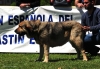 Filename=Exc--Cora-B--Dobra.jpg
Filesize=191KiB
Dimensions=1387x964
Date added=%761 %20, %2013 Exc--Cora-B--Dobra.jpg