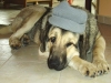Filename=Face.jpg
Filesize=84KiB
Dimensions=1000x750
Date added=%575 %01, %2007 Face.jpg