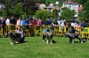Filename=Finalistas~1.jpg
Filesize=305KiB
Dimensions=1371x907
Date added=%499 %20, %2013 Finalistas~1.jpg