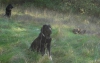 Filename=Fiona,_Zoe_and_Ivan.jpg
Filesize=206KiB
Dimensions=960x605
Date added=%752 %04, %2016 Fiona,_Zoe_and_Ivan.jpg