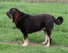 Filename=Fiona-.jpg
Filesize=167KiB
Dimensions=963x752
Date added=%715 %04, %2016 Fiona-.jpg