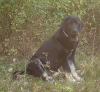 Filename=Fiona.jpg
Filesize=107KiB
Dimensions=620x575
Date added=%717 %04, %2016 Fiona.jpg