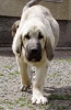 Filename=Florita-4m7.jpg
Filesize=40KiB
Dimensions=325x500
Date added=%925 %27, %2006 Florita-4m7.jpg