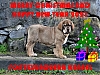 Filename=Fontexunquera.jpg
Filesize=194KiB
Dimensions=948x716
Date added=%028 %31, %2020 Fontexunquera.jpg