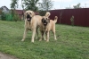 Filename=Friends.jpg
Filesize=332KiB
Dimensions=892x595
Date added=%840 %03, %2008 Friends.jpg