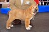 Filename=Fulton-C-Otur.jpg
Filesize=83KiB
Dimensions=1166x765
Date added=%844 %06, %2013 Fulton-C-Otur.jpg