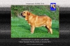 Filename=Fulton-C_Otur.jpg
Filesize=389KiB
Dimensions=1191x794
Date added=%849 %15, %2014 Fulton-C_Otur.jpg