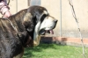 Filename=GAFAS_DE_LOS_ZUMBOS_28_GIGANTA29__-m.jpg
Filesize=66KiB
Dimensions=960x640
Date added=%754 %30, %2019 GAFAS_DE_LOS_ZUMBOS_28_GIGANTA29__-m.jpg