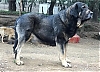 Filename=Gea_De_Cueto_Negro_28_Segar_De_Las_Canas29.jpg
Filesize=210KiB
Dimensions=1242x906
Date added=%648 %27, %2021 Gea_De_Cueto_Negro_28_Segar_De_Las_Canas29.jpg