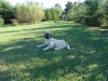 Filename=Gina-14-weeks-and-full-cont.jpg
Filesize=103KiB
Dimensions=800x600
Date added=%730 %06, %2006 Gina-14-weeks-and-full-cont.jpg