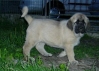 Filename=Gina-7t8.jpg
Filesize=27KiB
Dimensions=490x350
Date added=%922 %27, %2006 Gina-7t8.jpg