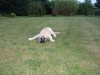 Filename=Gina_14_weeks.JPG
Filesize=193KiB
Dimensions=800x600
Date added=%713 %06, %2006 Gina_14_weeks.JPG