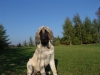 Filename=Gina_20_weeks.JPG
Filesize=133KiB
Dimensions=800x600
Date added=%736 %06, %2006 Gina_20_weeks.JPG