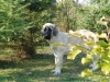 Filename=Gina_20_weeks2.JPG
Filesize=246KiB
Dimensions=800x600
Date added=%734 %06, %2006 Gina_20_weeks2.JPG