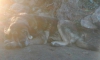 Filename=Gordita,_Hora_de_descansar_.jpg
Filesize=70KiB
Dimensions=1351x817
Date added=%953 %11, %2015 Gordita,_Hora_de_descansar_.jpg