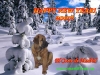 Filename=HAPPY-NEW-YEAR!.jpg
Filesize=37KiB
Dimensions=500x375
Date added=%858 %26, %2006 HAPPY-NEW-YEAR!.jpg