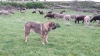 Filename=Hannah_de_Abelgas.jpg
Filesize=363KiB
Dimensions=1600x900
Date added=%661 %05, %2019 Hannah_de_Abelgas.jpg
