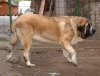 Filename=Hilario2.jpg
Filesize=52KiB
Dimensions=700x538
Date added=%551 %17, %2006 Hilario2.jpg