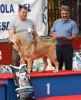 Filename=IMG-4246-Bosco-mcm.jpg
Filesize=111KiB
Dimensions=981x1200
Date added=%665 %05, %2012 IMG-4246-Bosco-mcm.jpg