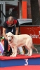 Filename=IMG-4247-Jara-mch.jpg
Filesize=67KiB
Dimensions=693x1200
Date added=%700 %05, %2012 IMG-4247-Jara-mch.jpg