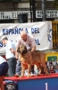 Filename=IMG-4254.jpg
Filesize=103KiB
Dimensions=789x1200
Date added=%721 %05, %2012 IMG-4254.jpg