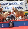 Filename=IMG-4255.jpg
Filesize=140KiB
Dimensions=1173x1200
Date added=%721 %05, %2012 IMG-4255.jpg
