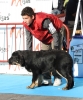 Filename=IMG-4777.jpg
Filesize=121KiB
Dimensions=997x1200
Date added=%343 %12, %2012 IMG-4777.jpg