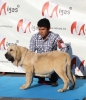 Filename=IMG-4779.jpg
Filesize=101KiB
Dimensions=1037x1200
Date added=%342 %12, %2012 IMG-4779.jpg