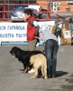 Filename=IMG-4782.jpg
Filesize=126KiB
Dimensions=983x1200
Date added=%342 %12, %2012 IMG-4782.jpg