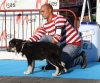 Filename=IMG-4787.jpg
Filesize=105KiB
Dimensions=1200x999
Date added=%341 %12, %2012 IMG-4787.jpg