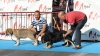 Filename=IMG-4790.jpg
Filesize=94KiB
Dimensions=1200x677
Date added=%348 %12, %2012 IMG-4790.jpg