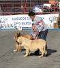 Filename=IMG-4791-og-no3.jpg
Filesize=143KiB
Dimensions=1060x1200
Date added=%348 %12, %2012 IMG-4791-og-no3.jpg