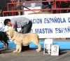 Filename=IMG-4796.jpg
Filesize=138KiB
Dimensions=1200x1053
Date added=%348 %12, %2012 IMG-4796.jpg