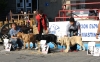 Filename=IMG-4797.jpg
Filesize=187KiB
Dimensions=1500x943
Date added=%346 %12, %2012 IMG-4797.jpg