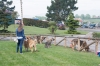 Filename=IMG_0367~0.jpg
Filesize=505KiB
Dimensions=1500x1000
Date added=%443 %07, %2017 IMG_0367~0.jpg
