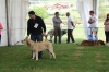 Filename=IMG_0383.jpg
Filesize=322KiB
Dimensions=1500x1000
Date added=%454 %07, %2017 IMG_0383.jpg