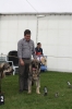 Filename=IMG_0456.jpg
Filesize=259KiB
Dimensions=1000x1500
Date added=%488 %07, %2017 IMG_0456.jpg