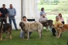 Filename=IMG_0474.jpg
Filesize=374KiB
Dimensions=1500x1000
Date added=%489 %07, %2017 IMG_0474.jpg