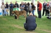 Filename=IMG_0477.jpg
Filesize=458KiB
Dimensions=1500x1000
Date added=%489 %07, %2017 IMG_0477.jpg