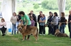 Filename=IMG_0480.jpg
Filesize=349KiB
Dimensions=1500x1000
Date added=%489 %07, %2017 IMG_0480.jpg