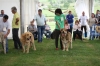 Filename=IMG_0482.jpg
Filesize=397KiB
Dimensions=1500x1000
Date added=%489 %07, %2017 IMG_0482.jpg