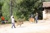 Filename=IMG_0638.jpg
Filesize=621KiB
Dimensions=1500x1000
Date added=%876 %16, %2017 IMG_0638.jpg