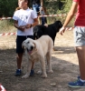 Filename=IMG_0641.jpg
Filesize=574KiB
Dimensions=1423x1500
Date added=%876 %16, %2017 IMG_0641.jpg
